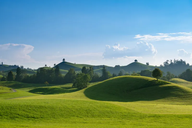 Moving to Zug from Zurich, Lucerne or Schwyz: What Really Matters