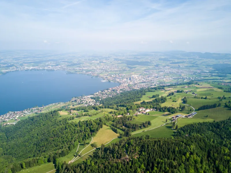 Zug oder Zürich: Welcher Ort passt zu Ihnen?